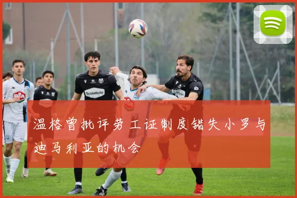 温格曾批评劳工证制度错失小罗与迪马利亚的机会